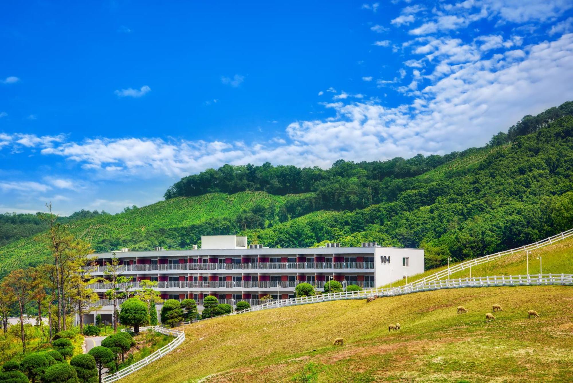 Belle Fore Resort Jeungpyeong Exteriér fotografie